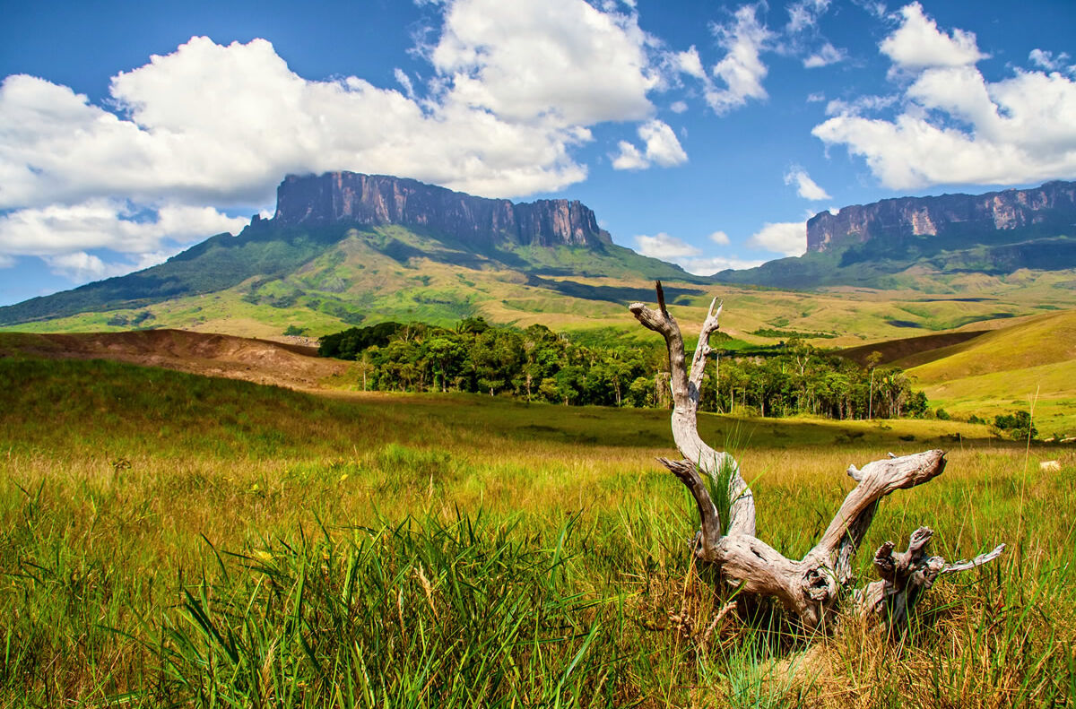 Weite Steppe in Tafelberg in Venezuela