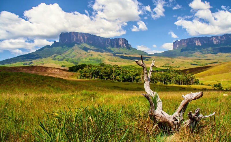Weite Steppe in Tafelberg in Venezuela