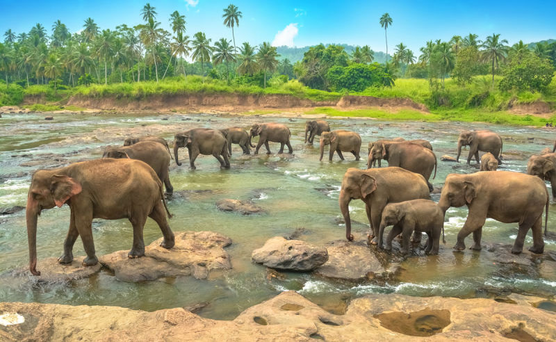 Beste Reisezeit und Klima für Sri Lanka