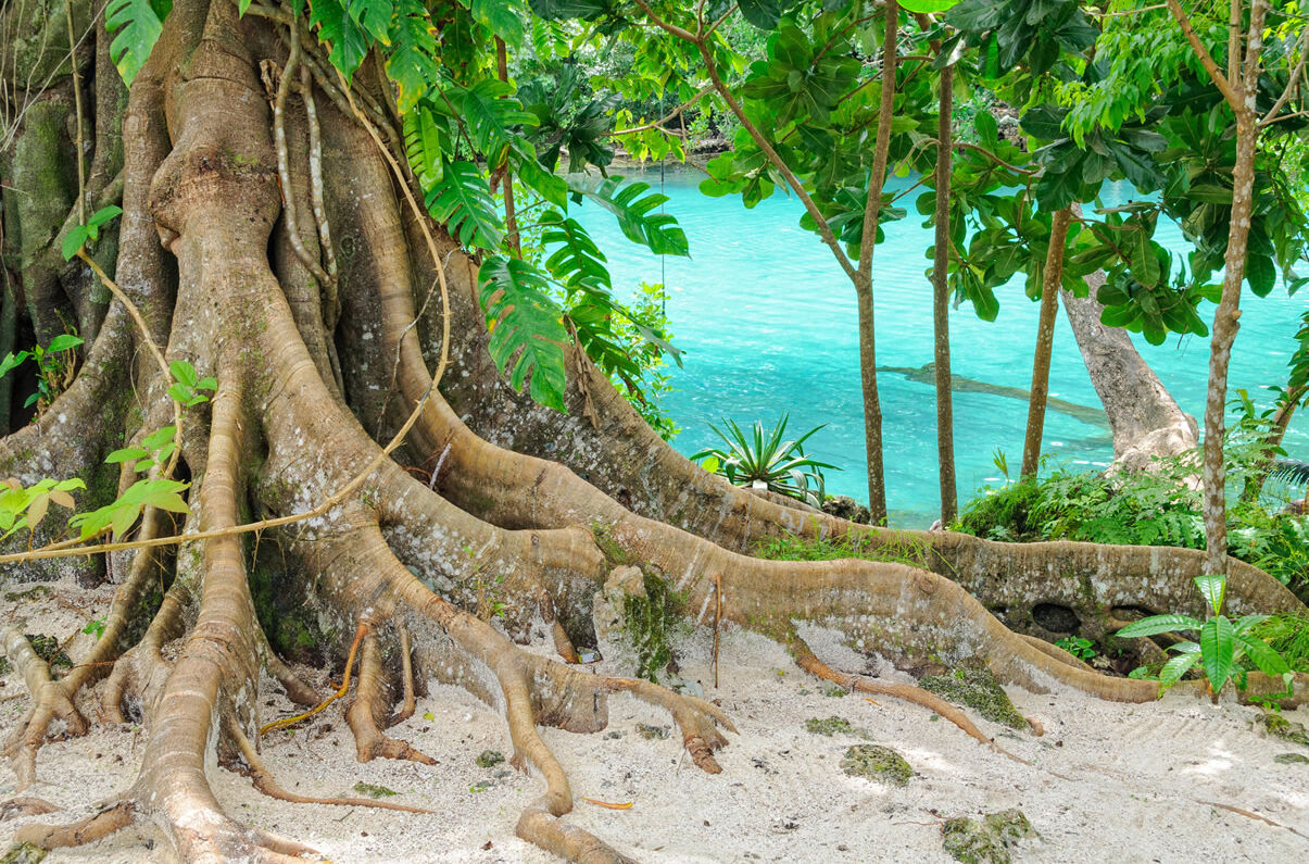 Blaue Lagune auf der Insel Efate in Vanuatu