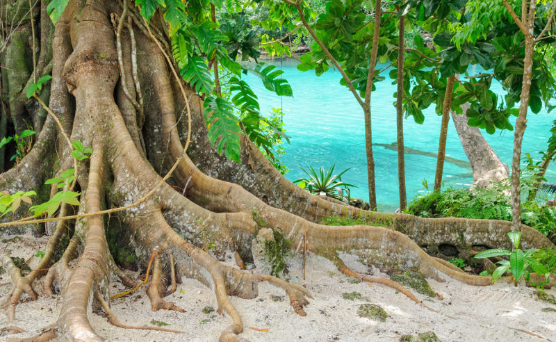 Blaue Lagune auf der Insel Efate in Vanuatu