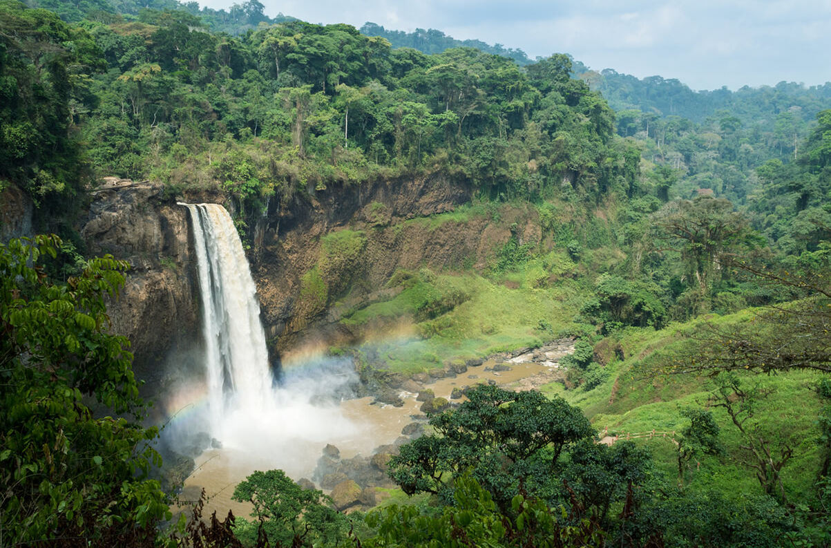 Ekom-Nkam-Wasserfälle in Kamerun