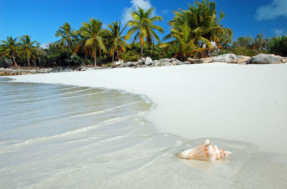 Paradiesischer Strand mit Palmen und azurblauem Wasser