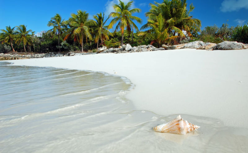 Paradiesischer Strand mit Palmen und azurblauem Wasser