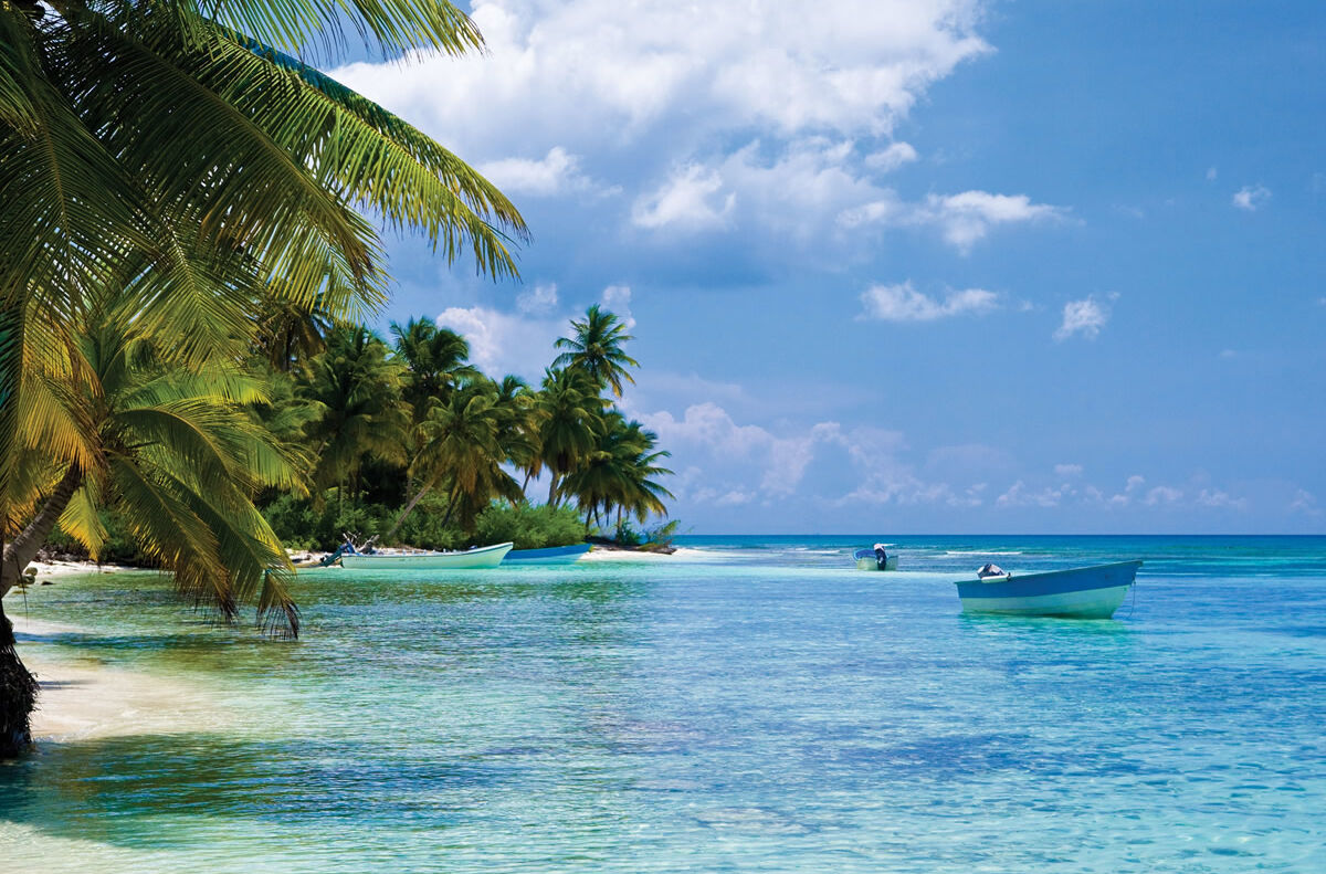 Palmen am Strand in Haiti