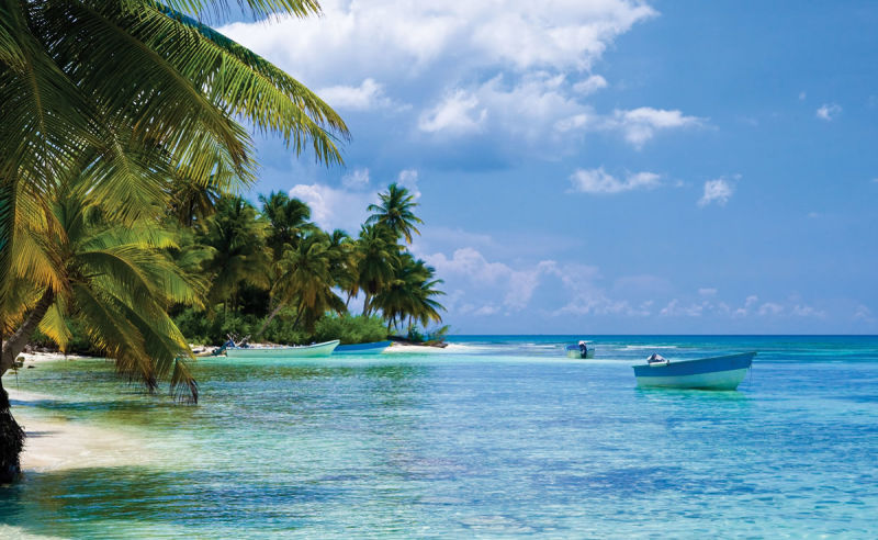 Palmen am Strand in Haiti