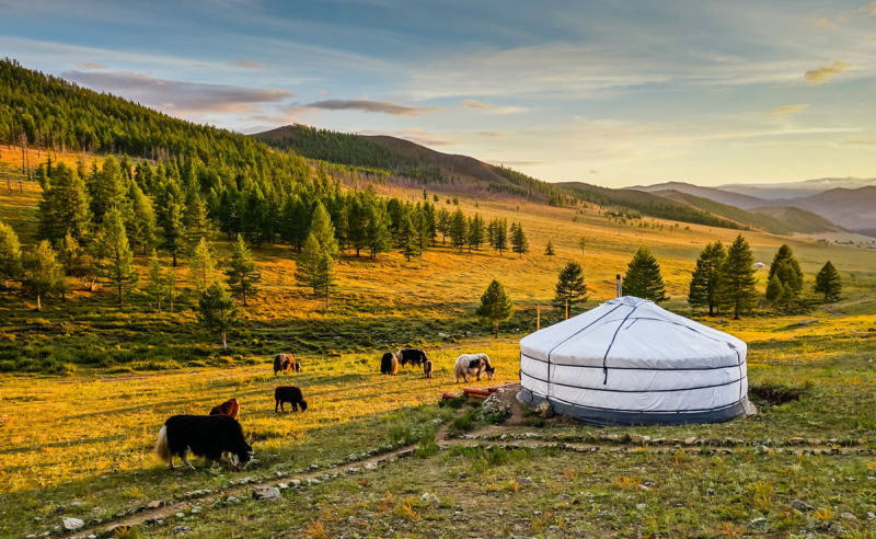 Beste Reisezeit und Klima für die Mongolei