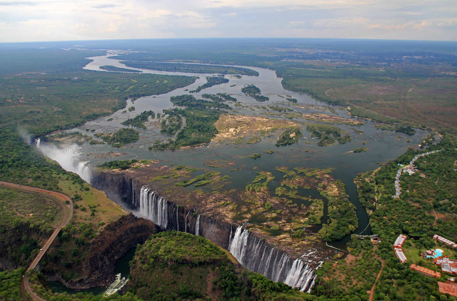 Junge Geparden in Simbabwe