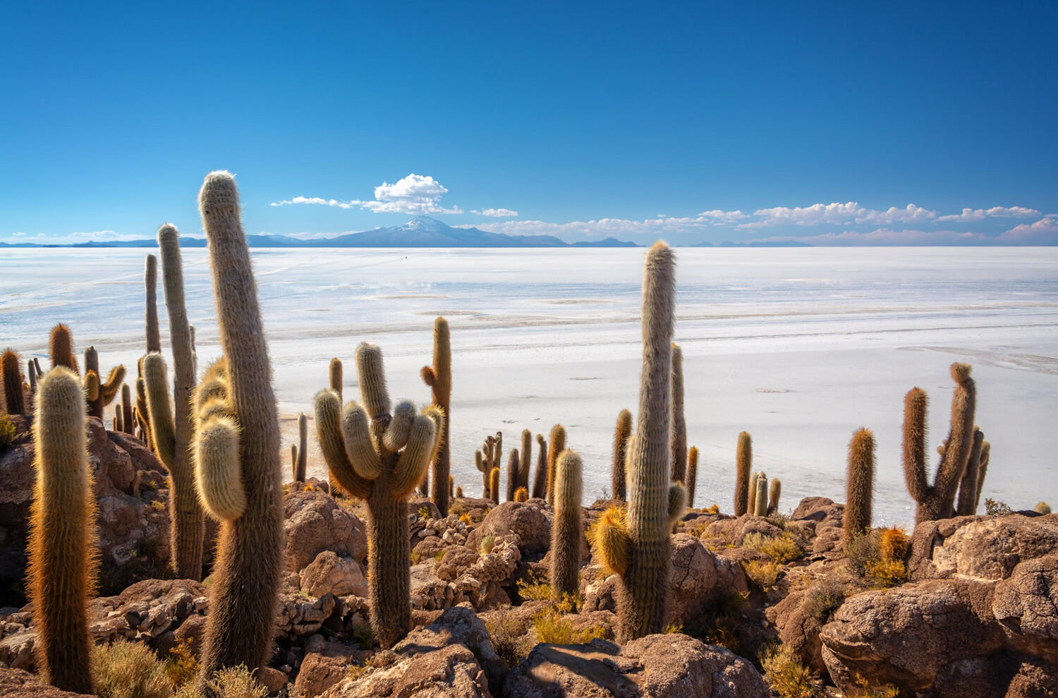 Alte Frau in traditionellen Kleidern in Bolivien