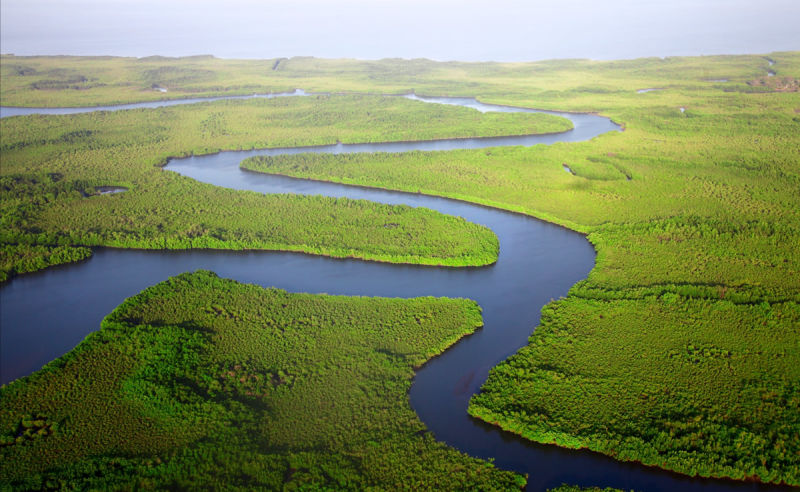 Fluss in Gambia