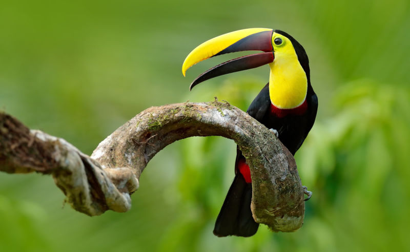 Beste Reisezeit und Klima für Panama