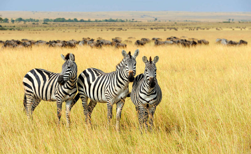 Beste Reisezeit und Klima für Südafrika