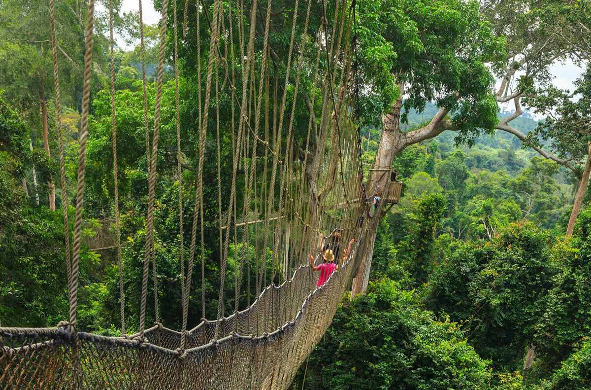 Baumwipfelpfad im Kakum Nationalpark in Ghana