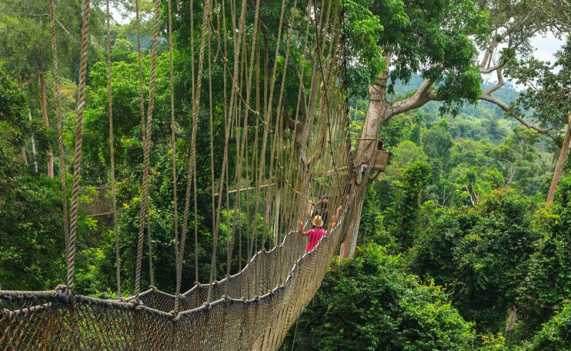 Baumwipfelpfad im Kakum Nationalpark in Ghana