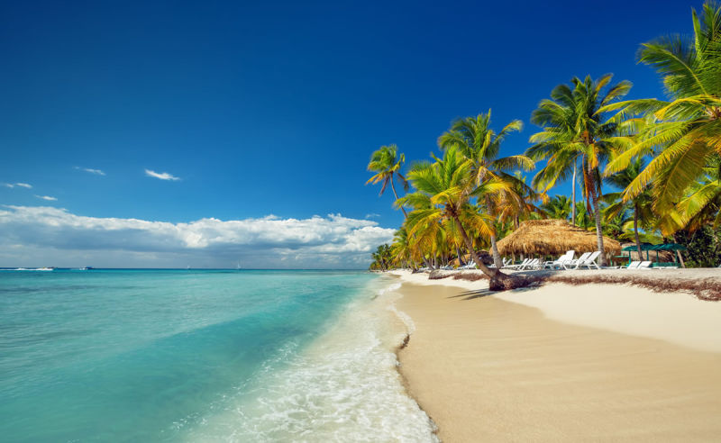Sandstrand und Palmen in der Dominikanische Republik